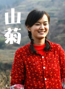 张柏芝黑森林